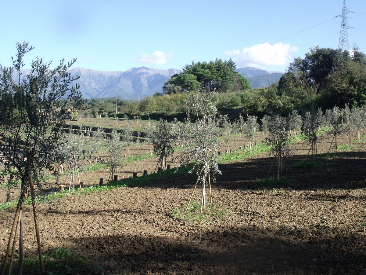 B&B Podere Montese Villafranca in Lunigiana Exterior foto